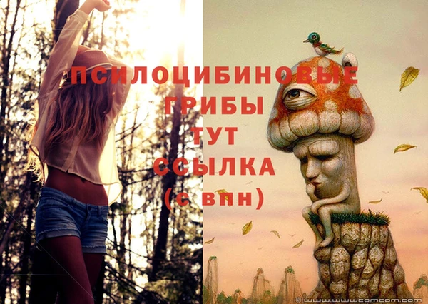 PSILOCYBIN Алексин