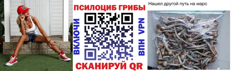 kraken вход Буй Псилоцибиновые грибы Psilocybine cubensis купить цена